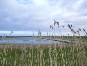 CIMG0013 (Gewijzigd)