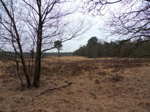 SAMSUNG DIGITAL CAMERA