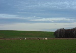 SAMSUNG DIGITAL CAMERA