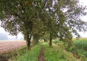 SAMSUNG DIGITAL CAMERA