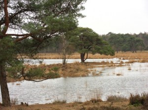 SAMSUNG DIGITAL CAMERA