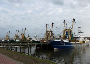 P1010568 (Gewijzigd)