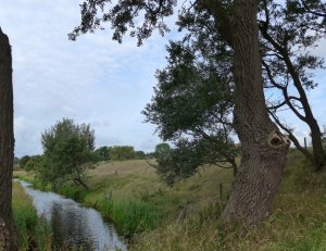 P1010608 (Gewijzigd)