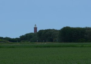 P1010579 (Gewijzigd)