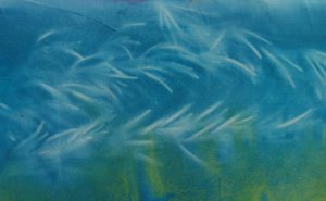 P1010712 (Gewijzigd)