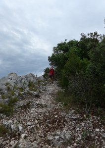 P1010844 (Gewijzigd)