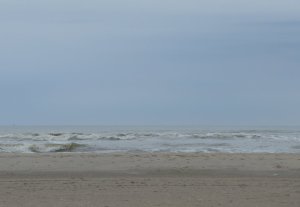 P1010573 (Gewijzigd)