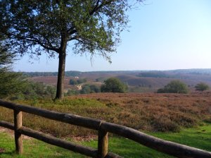 SAMSUNG DIGITAL CAMERA