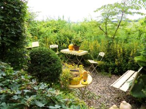 SAMSUNG DIGITAL CAMERA