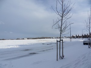 SAMSUNG DIGITAL CAMERA