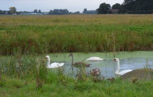 SAMSUNG DIGITAL CAMERA