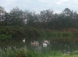 P1020431 (Gewijzigd)