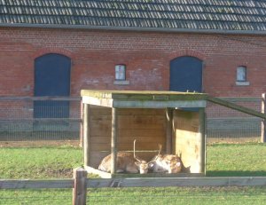 P1020561 (Gewijzigd)