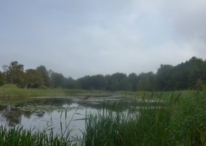 P1020323 (Gewijzigd)