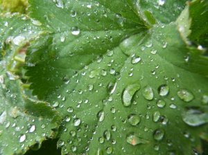 SAMSUNG DIGITAL CAMERA