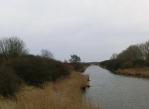 CIMG1602 (Gewijzigd)