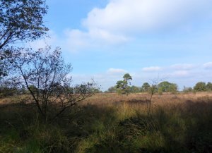 SAMSUNG DIGITAL CAMERA