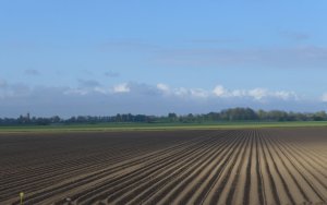 P1010209 (Gewijzigd)