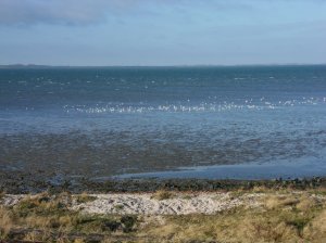 SAMSUNG DIGITAL CAMERA