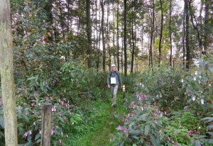 SAMSUNG DIGITAL CAMERA