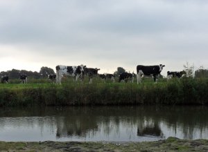 SAMSUNG DIGITAL CAMERA