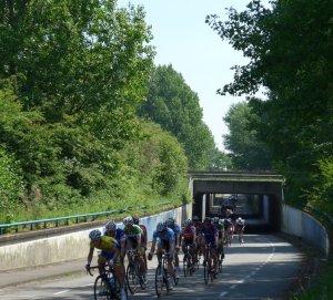 P1010395 (Gewijzigd)