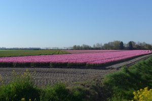 P1030220 (Gewijzigd)