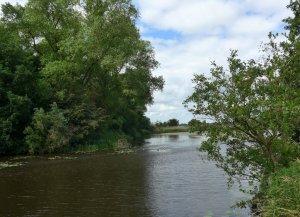 P1010556 (Gewijzigd)