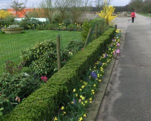 CIMG0030 (Gewijzigd)