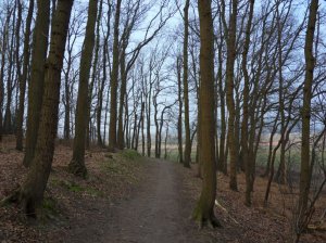 SAMSUNG DIGITAL CAMERA