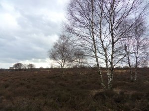 SAMSUNG DIGITAL CAMERA