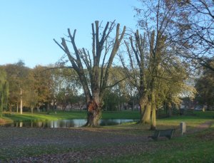 P1020555 (Gewijzigd)