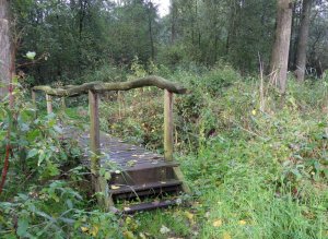 SAMSUNG DIGITAL CAMERA