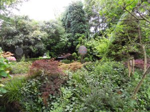 SAMSUNG DIGITAL CAMERA