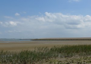 P1010481 (Gewijzigd)