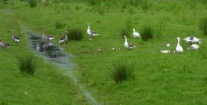 SAMSUNG DIGITAL CAMERA