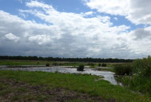 P1010549 (Gewijzigd)