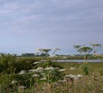 P1010567 (Gewijzigd)