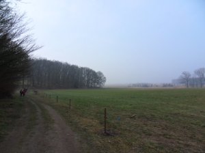 SAMSUNG DIGITAL CAMERA