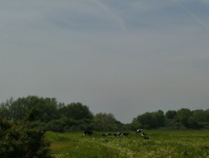 CIMG0040 (Gewijzigd)