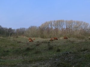 CIMG0016 (Gewijzigd)