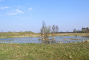 CIMG0008 (Gewijzigd)