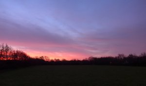 P1040452 (Gewijzigd)