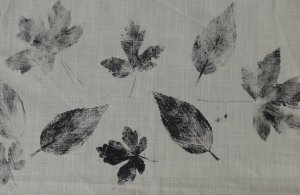 P1040097 (Gewijzigd)