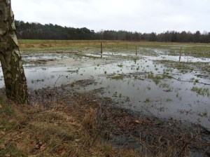 SAMSUNG DIGITAL CAMERA