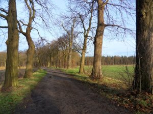 SAMSUNG DIGITAL CAMERA