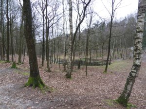 SAMSUNG DIGITAL CAMERA